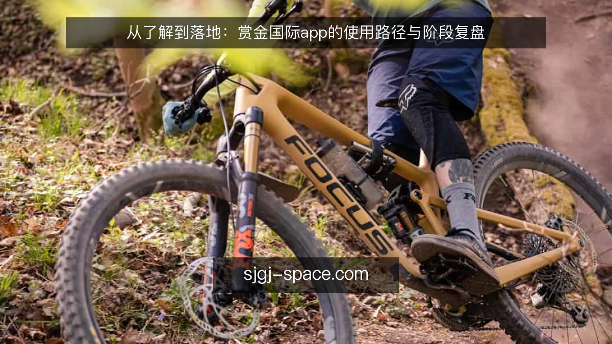 从了解到落地：赏金国际app的使用路径与阶段复盘