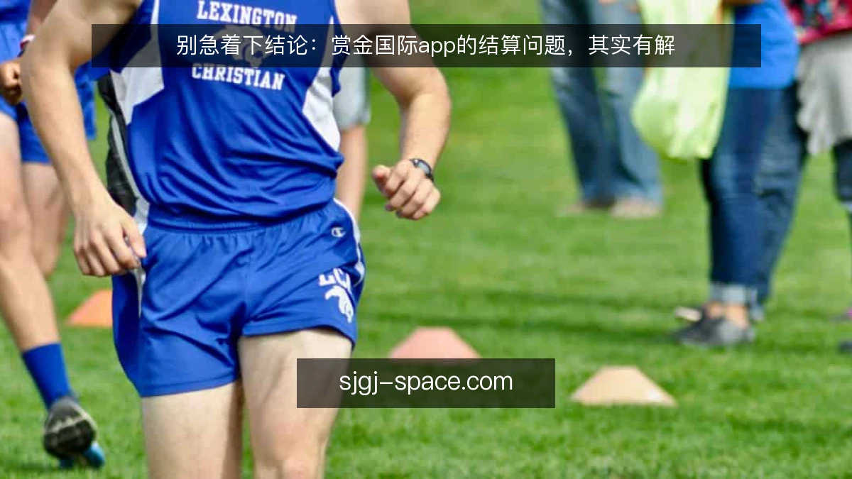 别急着下结论:赏金国际app的结算问题,其实有解
