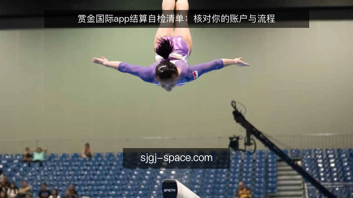 赏金国际app结算自检清单：核对你的账户与流程
