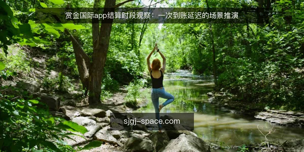 赏金国际app结算时段观察:一次到账延迟的场景推演 — 场景起点:近期一次到账延迟 配图