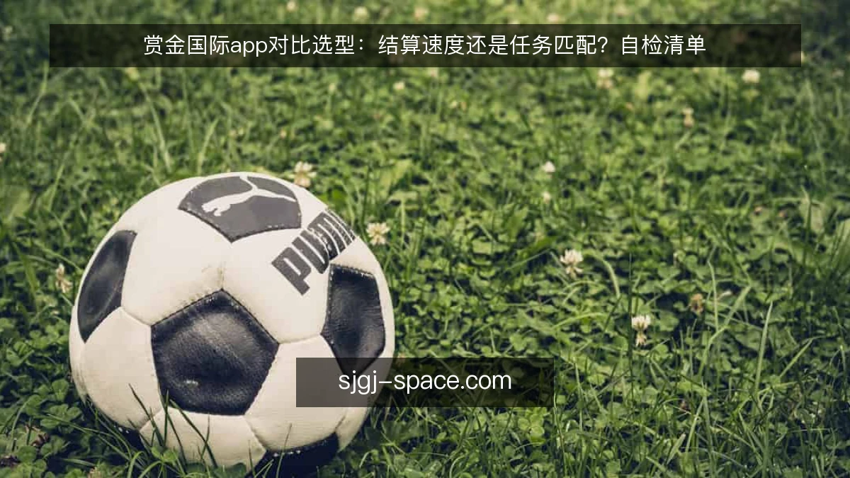 赏金国际app对比选型：结算速度还是任务匹配？自检清单