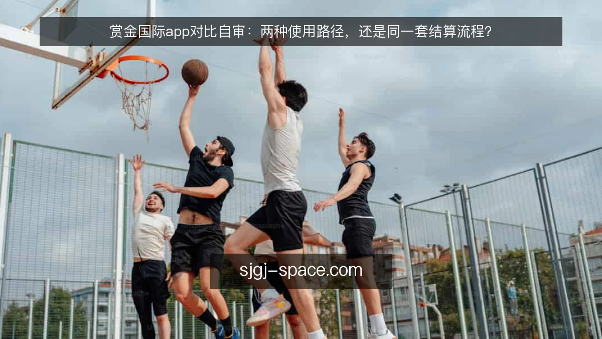 赏金国际app对比自审:两种使用路径,还是同一套结算流程?