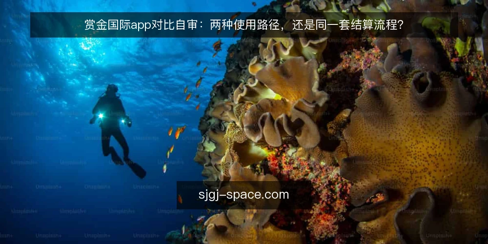 赏金国际app对比自审:两种使用路径,还是同一套结算流程? — 为什么现在要审计你的赏金国际app使用路径 配图